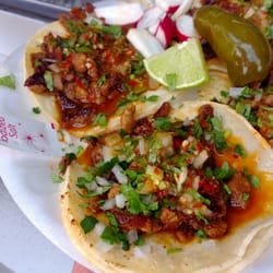 Tacos Moy