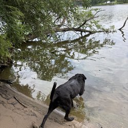 Fox River Bluff Dog Park