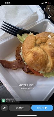 Mister Fish by null