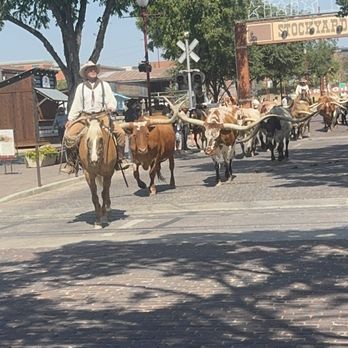 The Stockyards - Local Flavor Near Me - Fort Worth, Texas The Stockyards - Local Flavor Near Me - Fort Worth, Texas