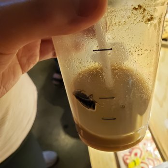 Jireh Bakery Cafe - Cockroach found in my drink - Coffee & Tea Near Me - Centreville, Virginia