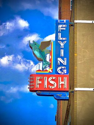 Flying Fish by null