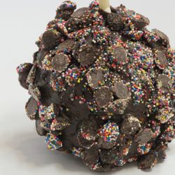 2 Kids Candy Store - Chocolate by Death caramel apple.
Chocolate chips with non perials covers this chocolate coated caramel apple.