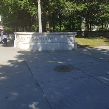 Millennium Park - Parks Near Me - Chicago, Illinois Millennium Park - Parks Near Me - Chicago, Illinois