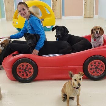 Bark - Pet Training Near Me - Virginia Beach, Virginia Bark - Pet Training Near Me - Virginia Beach, Virginia