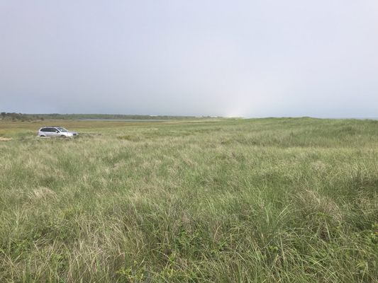 Long Point Wildlife Refuge by null