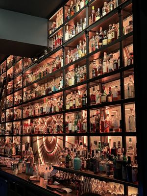 Dawn Club by null