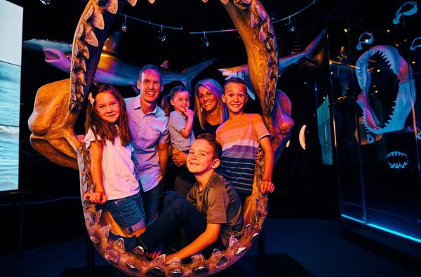 Wonders Of Wildlife National Museum & Aquarium by null