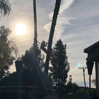 Rancho Tree Care - Tree Services Near Me Rancho Tree Care - Tree Services Near Me