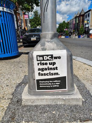 Adams Morgan by null