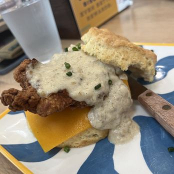 Biscuit Belly - Chesapeake - The Rockwell - Breakfast & Brunch Near Me - Chesapeake, Virginia Biscuit Belly - Chesapeake - The Rockwell - Breakfast & Brunch Near Me - Chesapeake, Virginia