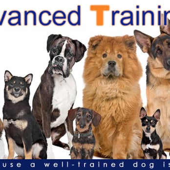 Canine Advanced Training Services - Pet Training Near Me - Euless, Texas Canine Advanced Training Services - Pet Training Near Me - Euless, Texas
