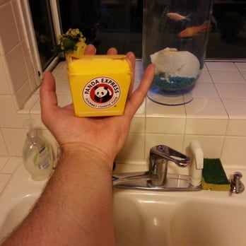 Panda Express - Hard to do justice to how tiny this box is. - Chinese Near Me - Wilsonville, Oregon Panda Express - Hard to do justice to how tiny this box is. - Chinese Near Me - Wilsonville, Oregon