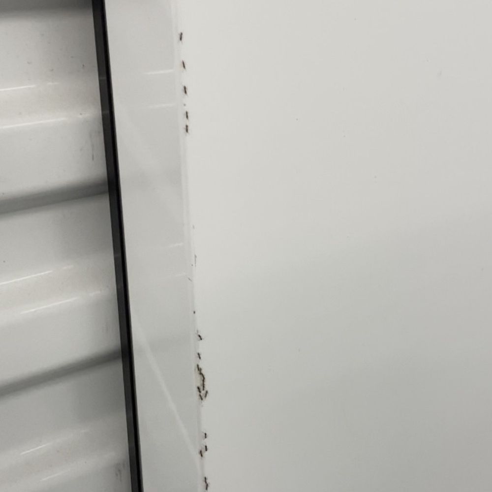 StorQuest Self Storage - More ants - Self Storage Near Me - San Jose, California StorQuest Self Storage - More ants - Self Storage Near Me - San Jose, California