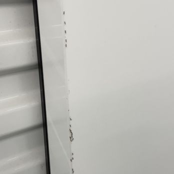 StorQuest Self Storage - More ants - Self Storage Near Me - San Jose, California