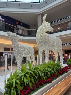 CF Fairview Mall by null