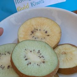 Kids choose the freeze dried golden and normal kiwis