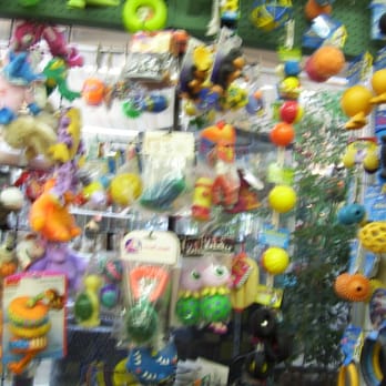 Village Pet Shop - Dog Toys - Pet Stores Near Me - Livermore, California Village Pet Shop - Dog Toys - Pet Stores Near Me - Livermore, California
