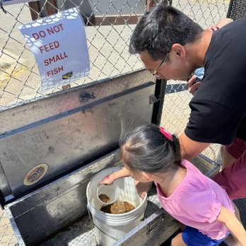 San Joaquin Fish Hatchery - Free fish food - Aquariums Near Me - Friant, California San Joaquin Fish Hatchery - Free fish food - Aquariums Near Me - Friant, California