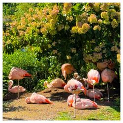 Cleveland Metroparks Zoo