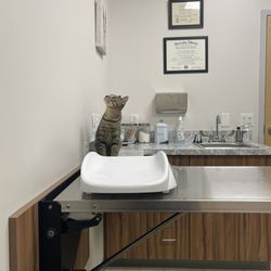 Wrentham Animal Hospital