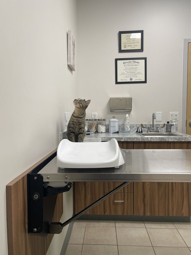 WRENTHAM ANIMAL HOSPITAL Updated September 2024 34 Photos & 11