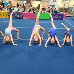 Pinnacle Gymnastics