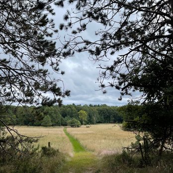 Orchard Beach State Park - Hiking trail @ Orchard Beach State Park - Parks Near Me - Manistee, Michigan