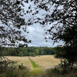Orchard Beach State Park - Hiking trail @ Orchard Beach State Park