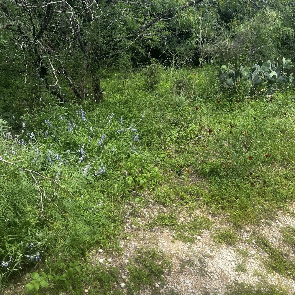 Leon Creek Greenway - Parks Near Me - San Antonio, Texas Leon Creek Greenway - Parks Near Me - San Antonio, Texas
