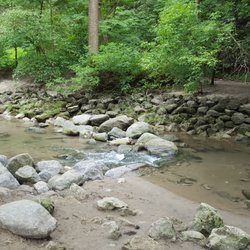 Sunnybrook Stables - River near Sunnybrook Stables. Photo taken July 2017.