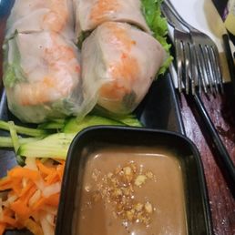 Spring roll appetizer Spring roll appetizer