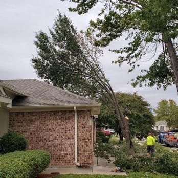 Veterans Tree Service - Tree Services Near Me