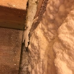 Ifoam of North Florida - Mess I have to clean before drywall