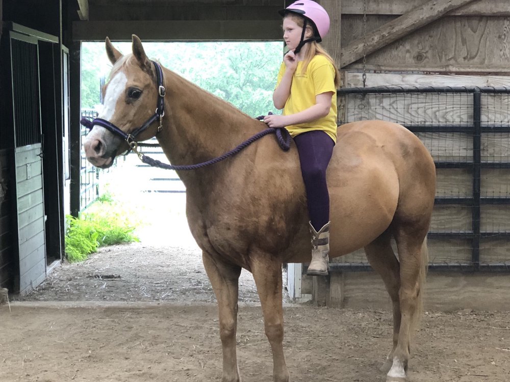 Blue River Ranch - equestrian in Overland Park, KS
