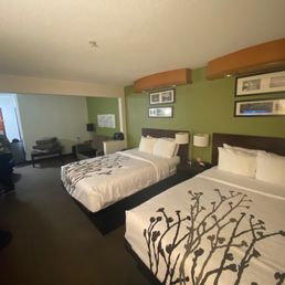 Room Room