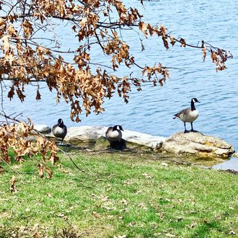 Chesterfield Central Park - Parks Near Me - Chesterfield, Missouri
