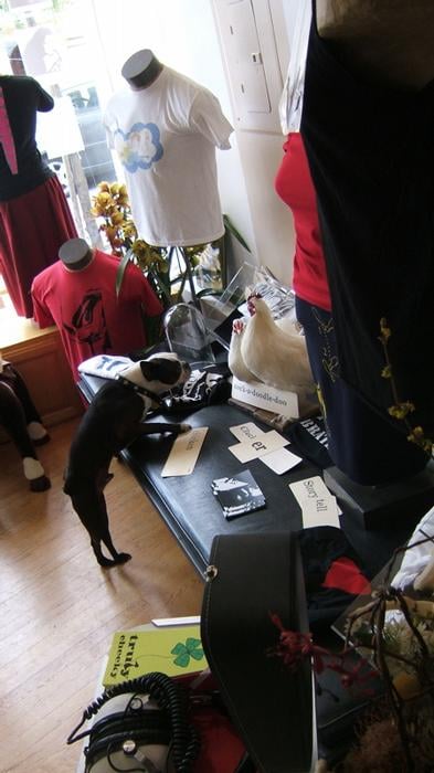 Slide of Lee D Home Repairs