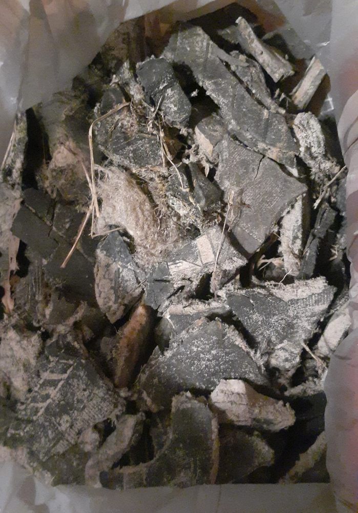 BELTZ LIQUID WASTE MANAGEMENT Newberry, Florida Septic Services