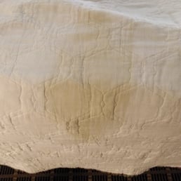 Blanket with pee on it Blanket with pee on it
