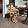 Millenia Flooring Design