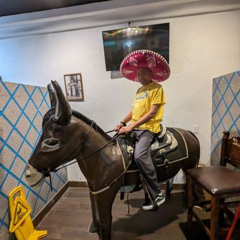 El Jalisco - Yes, you can sit on this burro. Ride responsibly! - Mexican Near Me - Tallahassee, Florida