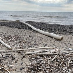 Erie County Wendt Beach Park