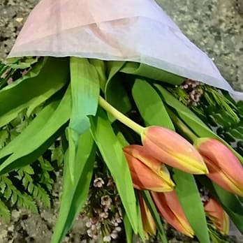 Budaful Flowers - Brought these tulips home. Really nice looking....but.... - Florists Near Me