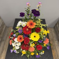 The BloomBox
