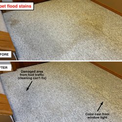 Neat Freak Cleaning - Stain removal after a septic tank leak