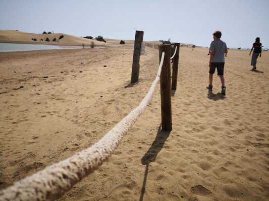 Dunas de Maspalomas by null