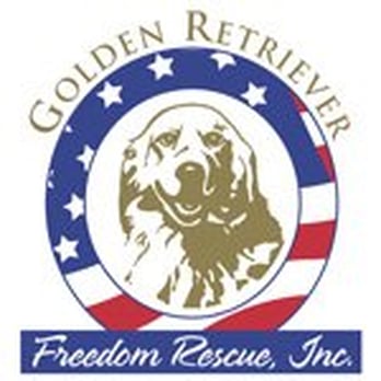 golden retriever freedom rescue