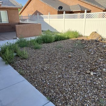 Genuine Pest Control - Before - Pest Control Near Me - Pahrump, Nevada Genuine Pest Control - Before - Pest Control Near Me - Pahrump, Nevada