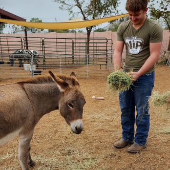 Happy Hooves - Attraction Farms Near Me - Phoenix, Arizona